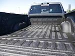 2025 Ram 3500 Crew Cab 4x4 Pickup for sale #625121 - photo 10
