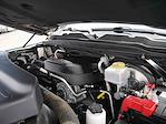 2024 Ram 2500 Crew Cab 4WD Pickup for sale #625158A - photo 18