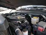 2025 Ram 3500 Crew Cab 4x4 Pickup for sale #625173 - photo 15
