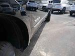 2025 Ram 3500 Crew Cab 4x4 Pickup for sale #625173 - photo 16