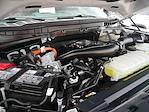 2025 Ford F-150 SuperCrew Cab 4x4 Pickup for sale #625186A - photo 17