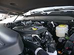 2025 Ram 3500 Crew Cab 4x4 Pickup for sale #625213 - photo 12