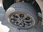 2025 Ram 3500 Crew Cab 4x4 Pickup for sale #625220 - photo 14