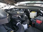 2025 Ram 3500 Crew Cab 4x4 Pickup for sale #625220 - photo 15