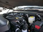 2025 Ram 2500 Crew Cab 4x4 Pickup for sale #625254 - photo 14