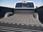 2025 Ram 3500 Crew Cab DRW 4x4 Pickup for sale #625275 - photo 10