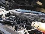 2023 Ford F-350 Crew Cab SRW 4WD Pickup for sale #625289A - photo 13