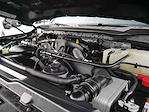 2026 Ford F-350 Crew Cab DRW 4WD Pickup for sale #626010A - photo 16