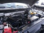 2014 Ford F-150 SuperCrew Cab 4WD Pickup for sale #626083A - photo 12