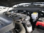 2024 Ram 3500 Crew Cab DRW 4WD Pickup for sale #626131A - photo 14