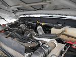 2015 Ford F-250 Crew Cab 4WD Pickup for sale #626179A - photo 13