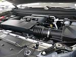 2025 Chevrolet Colorado Crew Cab 4x4 Pickup for sale #825060A - photo 14
