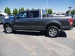 2016 Ford F-150 SuperCrew Cab 4x4 Pickup for sale #825102B - photo 19
