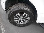 2018 Ford F-150 SuperCrew Cab 4WD Pickup for sale #825192B - photo 14