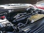 2017 Ford F-150 SuperCrew Cab 4x4 Pickup for sale #995458A - photo 14