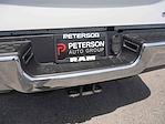 2020 Ram 3500 Crew Cab SRW 4x4 Pickup for sale #995556A - photo 8