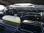 2021 Ford F-150 SuperCrew Cab 4x4 Pickup for sale #995581 - photo 14