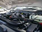 2024 Ford F-350 Crew Cab SRW 4x4 Pickup for sale #995592 - photo 16