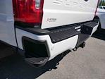 2024 Ford F-350 Crew Cab SRW 4x4 Pickup for sale #995592 - photo 8