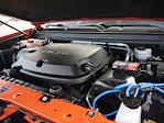 2019 Chevrolet Colorado Crew Cab 4x4 Pickup for sale #995624 - photo 16