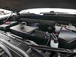 2023 Chevrolet Silverado 1500 Crew Cab 4x4 Pickup for sale #995625 - photo 16