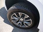 2024 Chevrolet Silverado 1500 Crew Cab 4x4 Pickup for sale #995626 - photo 13