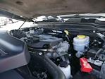 2019 Ram 3500 Mega Cab SRW 4x4 Pickup for sale #995641 - photo 20