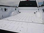 2023 Ford F-250 Crew Cab 4x4 Pickup for sale #995673 - photo 9
