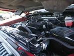 2024 GMC Sierra 2500 Crew Cab 4x4 Pickup for sale #995693 - photo 14