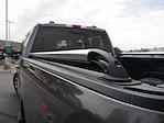 2023 Ford F-250 Crew Cab 4x4 Pickup for sale #995697 - photo 12