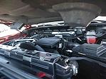 2024 GMC Sierra 2500 Crew Cab 4WD Pickup for sale #995755 - photo 13