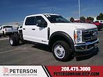 2024 Ford F-450 Crew Cab DRW 4WD Cab Chassis for sale #995760 - photo 1