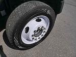 2024 Ford F-450 Crew Cab DRW 4WD Cab Chassis for sale #995760 - photo 16