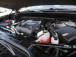2023 Chevrolet Silverado 1500 Crew Cab 4WD Pickup for sale #995793 - photo 14