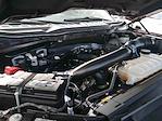 Used 2024 Ford F-150 Lariat SuperCrew Cab for sale #995795 - photo 16