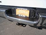 2024 Ram 3500 Crew Cab 4WD Pickup for sale #995799 - photo 10