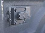 2024 Ram 3500 Regular Cab 4WD Pickup for sale #995803A - photo 13