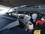 2024 Ram 3500 Regular Cab 4WD Pickup for sale #995803A - photo 17