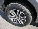2023 Ford F-150 SuperCrew Cab 4WD Pickup for sale #995805 - photo 13