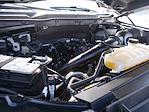 2023 Ford F-150 SuperCrew Cab 4WD Pickup for sale #995805 - photo 14
