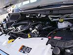 2024 Ford Transit 250 Low Roof RWD Empty Cargo Van for sale #995810 - photo 24