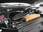 2015 Ford F-150 SuperCrew Cab 4WD Pickup for sale #995810A - photo 17