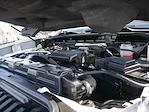2025 Chevrolet Silverado 3500 Crew Cab 4WD Pickup for sale #995838 - photo 14