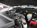 2024 Ram 3500 Crew Cab DRW 4WD Cab Chassis for sale #995900 - photo 11