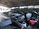2024 Ram 3500 Crew Cab DRW 4x4 Pickup for sale #UA250122A - photo 16