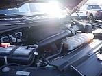 2023 Ford F-150 SuperCrew Cab 4WD Pickup for sale #UA250386 - photo 15