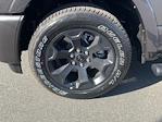 New 2025 Ram 1500 Lone Star Crew Cab 4x4 Pickup for sale #D255192 - photo 11