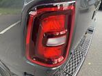 New 2025 Ram 1500 Lone Star Crew Cab 4x4 Pickup for sale #D255193 - photo 13