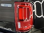 2025 Ram 3500 Crew Cab DRW 4x4 Pickup for sale #D255262X - photo 13