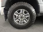 2023 Ford F-350 Crew Cab SRW 4WD Pickup for sale #D153134A - photo 14